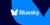 Bluesky is back up after a major outage