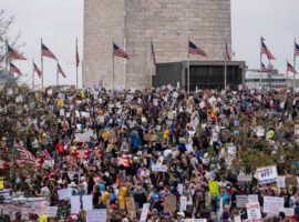 ‘Millions’ may have protested Trump and Musk yesterday