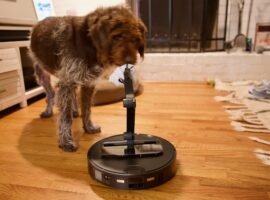 I tested a robot vacuum with an arm, and my dog may never forgive me