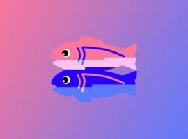 Glitch is basically shutting down
