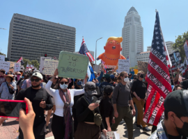 No Kings: protests in the eye of the storm