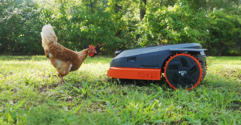 Tour our smart home reviewer’s smart backyard