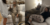 AI-homeless-man-prank-w-label