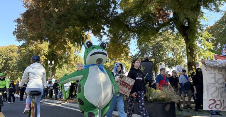 March of the frogs