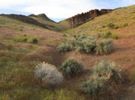 US government takes equity stake in one of the world’s largest lithium mines
