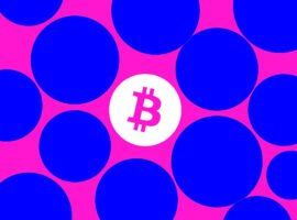Billion-dollar Bitcoin hacker Ilya Lichtenstein thanks Trump for early prison release