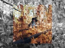You need to listen to Billy Woods’ horrorcore masterpiece for the A24 crowd