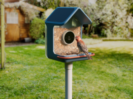 Birdbuddy’s new smart feeders aim to make spotting birds easier, even for beginners