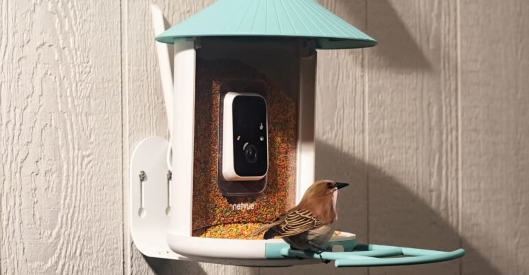 Amazon’s Big Spring Sale is a great time to get a fancy, AI-powered bird feeder