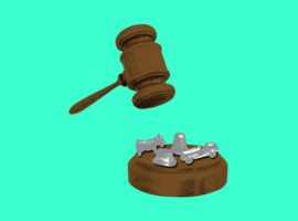 The Trump administration’s antitrust honeymoon is over