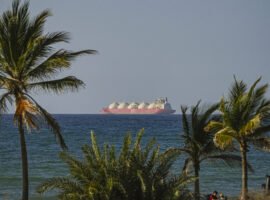 The Strait of Hormuz blockade is causing a slow-moving food crisis