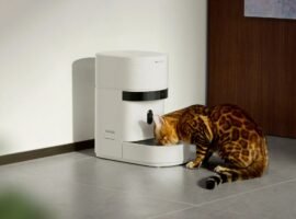Cats and dogs are missing meals after a popular smart feeder went down