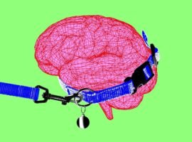 Anthropic CEO says it’s time to pump the brakes on AI